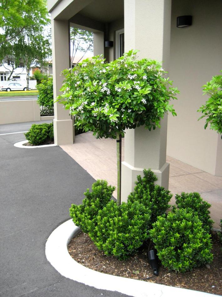 Salerno Motel Apartments Крайстчърч Екстериор снимка Gardenia
